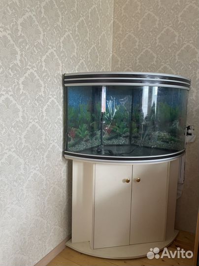 Аквариум с тумбой