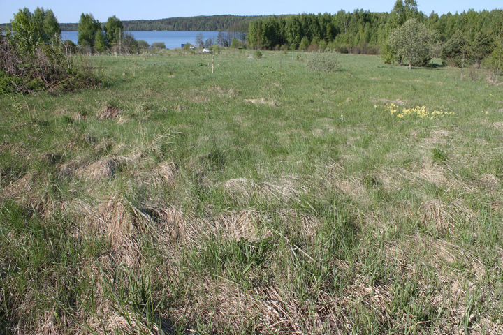 Участок 2,4 га (ИЖС)