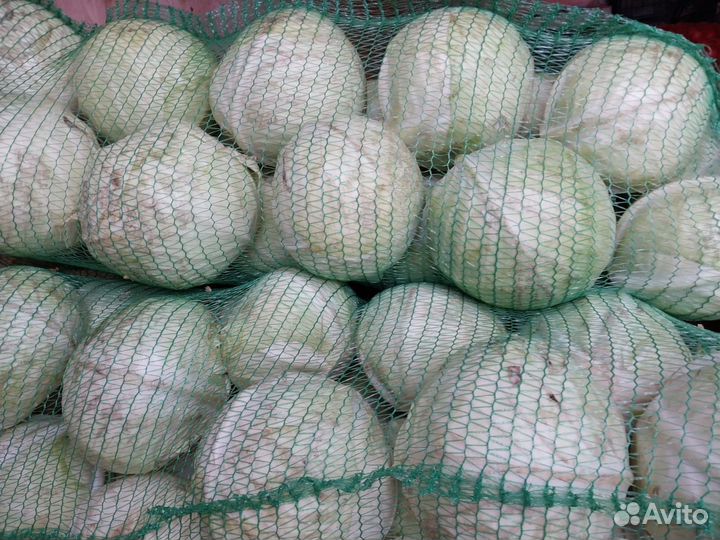 Овощи для столовых