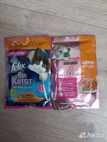 Корм для котят