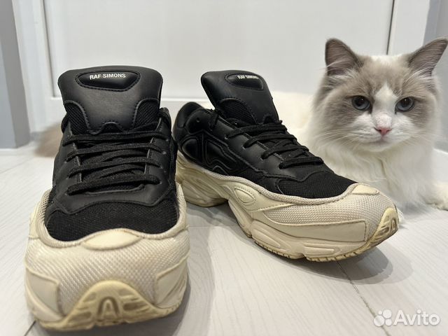 Adidas x Raf Simons Ozweego (рафы) оригинал купить в Москве | Личные ...