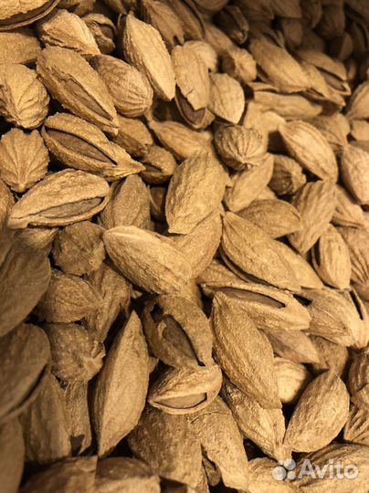 Сухофрукты и орехи оптом