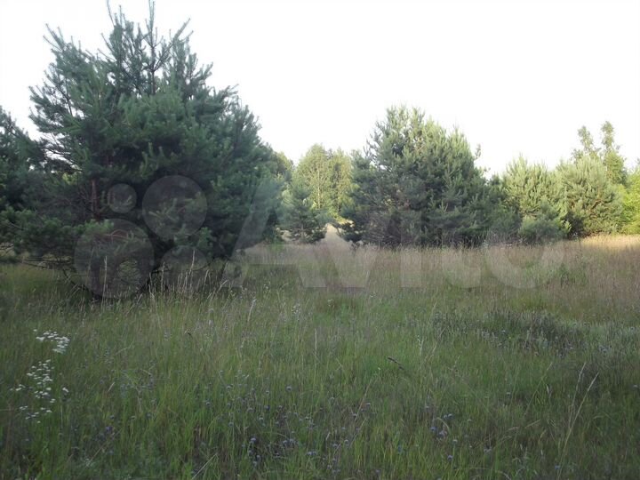 Участок 3 га (ИЖС)