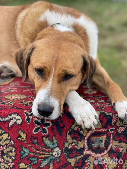 Стеша ищет свою семью