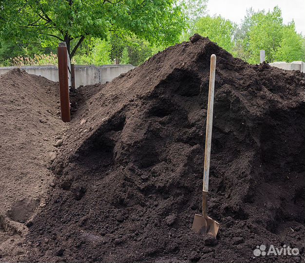 Купить чернозем сегодня