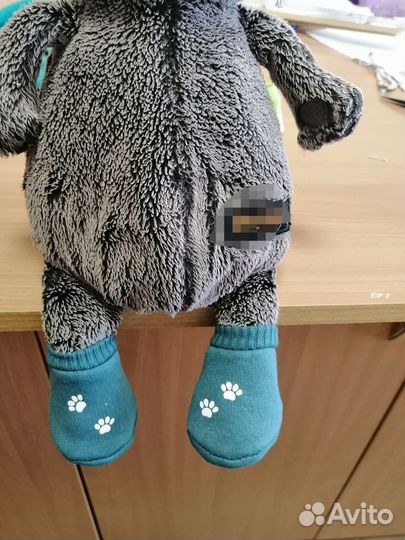 Одежда для кота басика и лили на любой рост