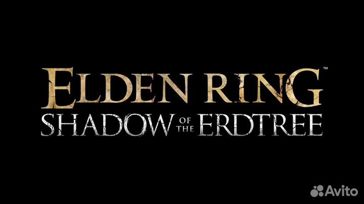 Elden Ring Shadow of the Erdtree PS4/PS5