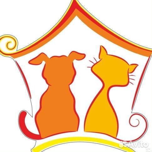 Продавец консультант в зоомагазин (Дружок)