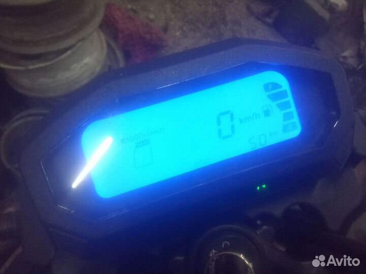Рейсер кайман 250