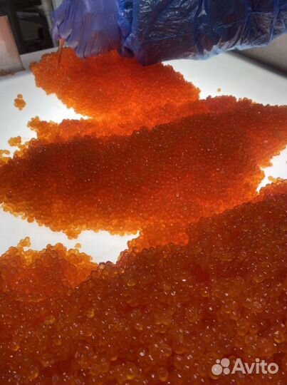 Красная икра с Магадана