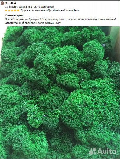 Стабилизированный мох для интерьера стен и кашпо