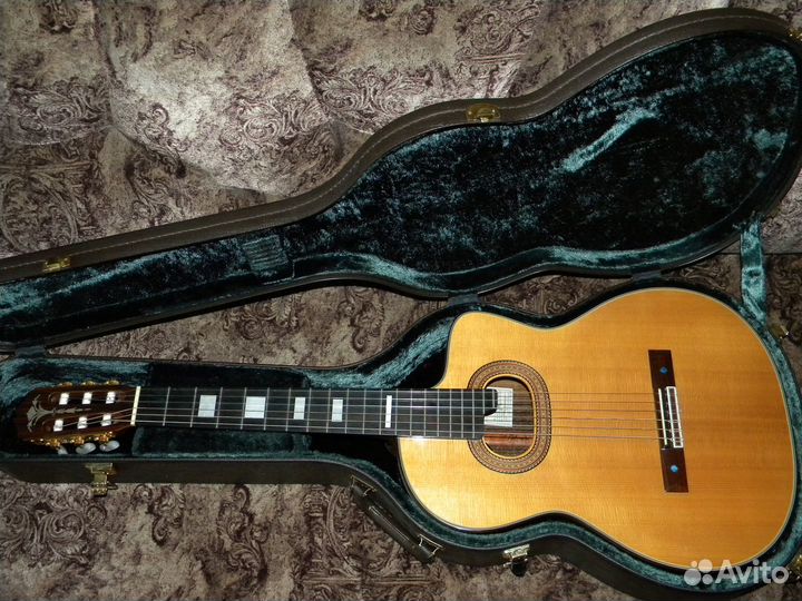 Takamine NPT315