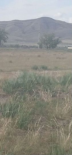 Участок 14,96 га (ИЖС)