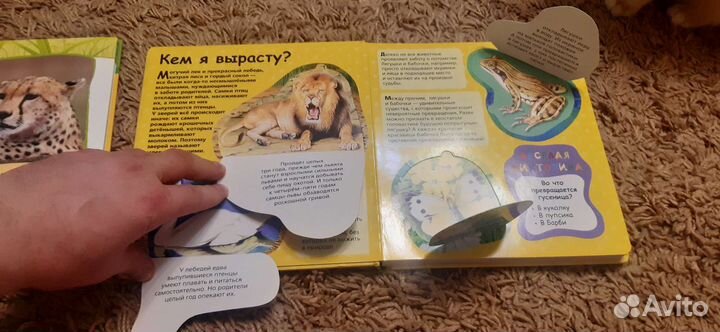 Детская энциклопедия с окошками