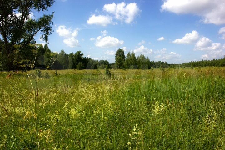 Участок 13,77 га (ИЖС)