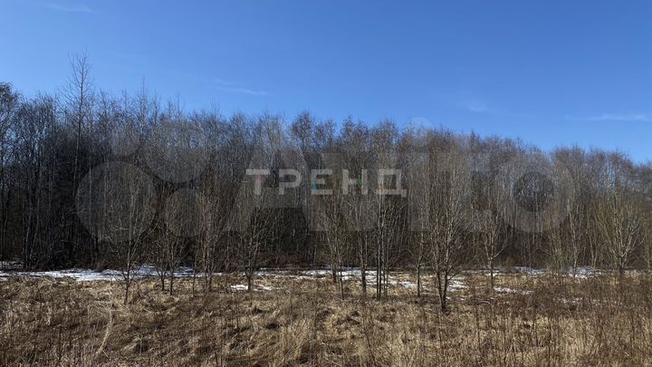 Участок 12,9 сот. (СНТ, ДНП)