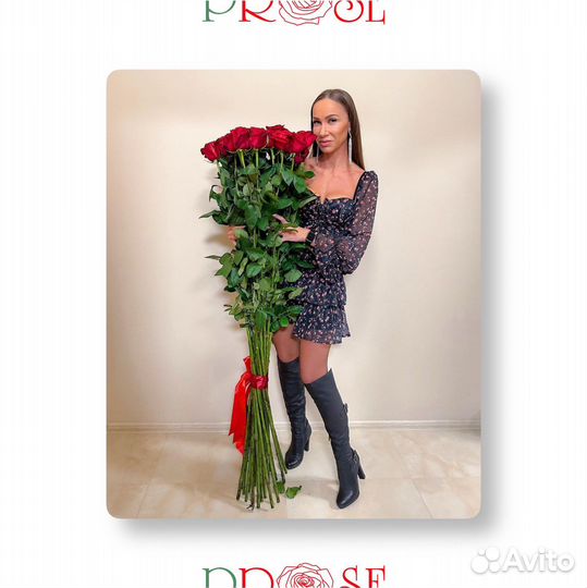 Высокие розы. Розы-гиганты (100см - 200см)