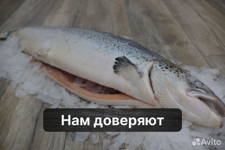 Рыба опт, собственное призводство