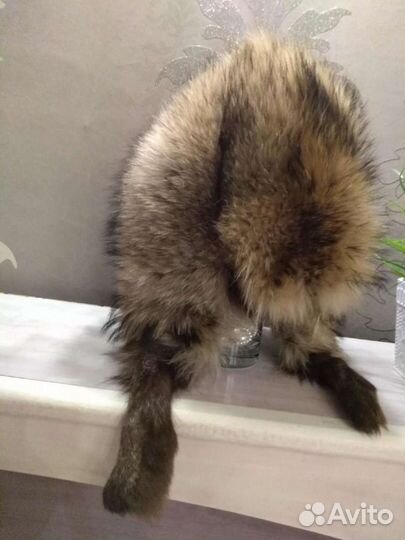 Меховые варежки /шапка енот. Шкурка песца