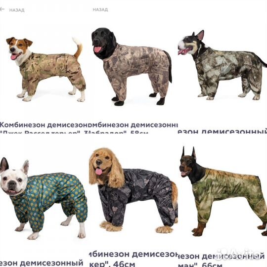 Одежда для собак в ассортименте