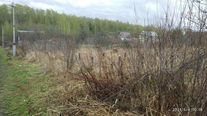 Участок 8 сот. (СНТ, ДНП)