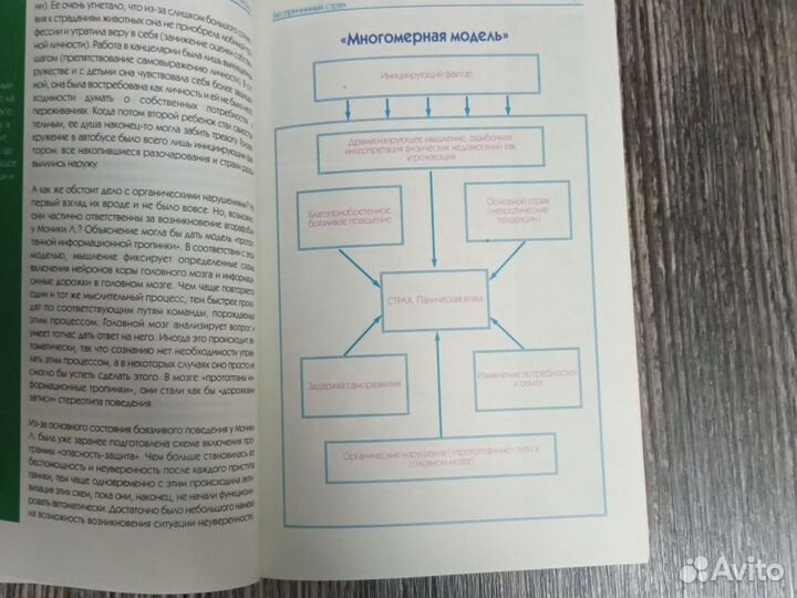 Беспричинный страх. Х. Браш, И.-М. Рихберг