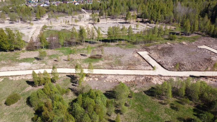 Участок 9,1 сот. (СНТ, ДНП)