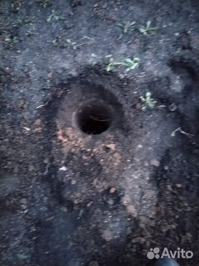 Аренда / прокат бензобура / мотобура / ямобура