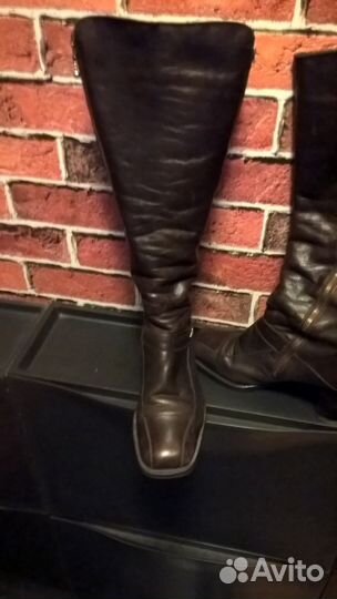 Сапоги демисезонные