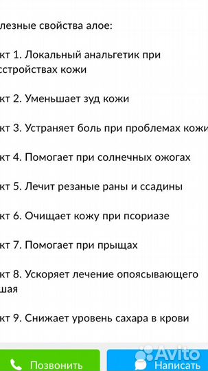 Алоэ вера