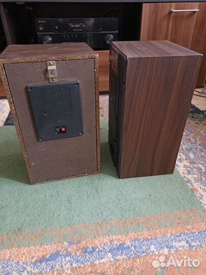 Колонки radiotehnika s 30b