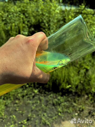 Дизельное топливо E3-Е5 ГОСТ