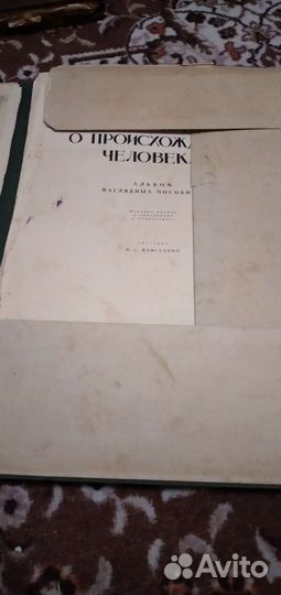 Наука о происхождении человека 1949