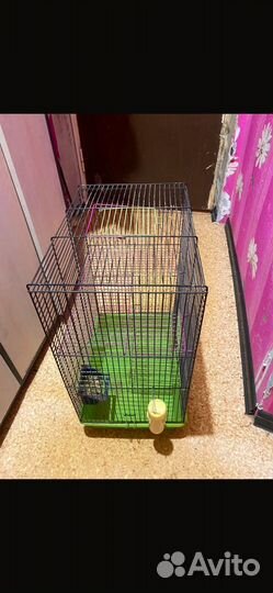 Клетка для птиц бу