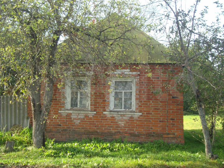 Дом 33 м² на участке 42 сот.