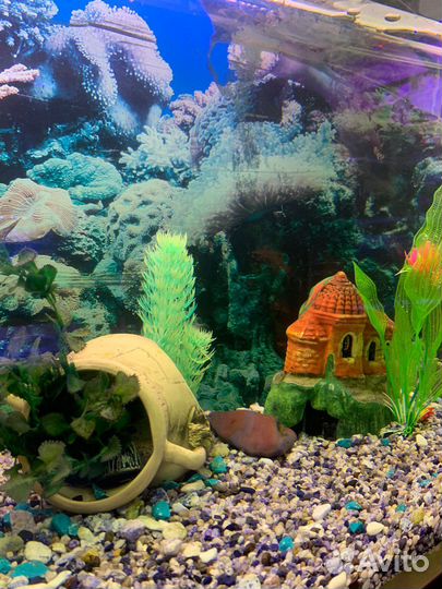 Аквариум 350 литров с тумбой