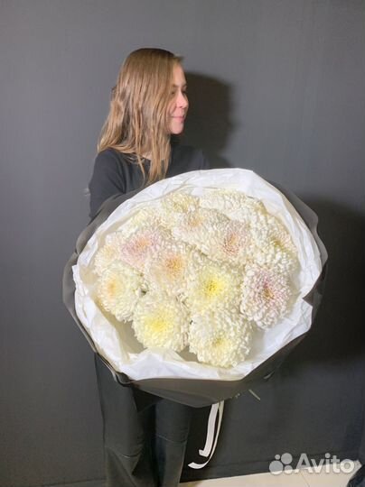 Хризантема одноголовая