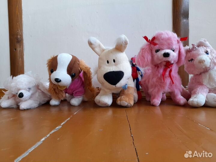Мягкие игрушки. 5 собачек и кошка