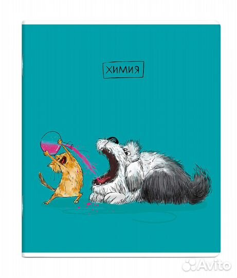 Комплект из 14 предметных тетрадей по 48л. Феникс+