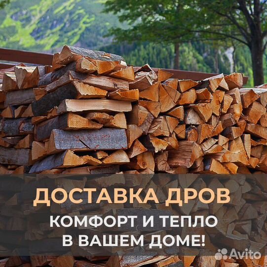 Дрова Береза / Дуб / Осина