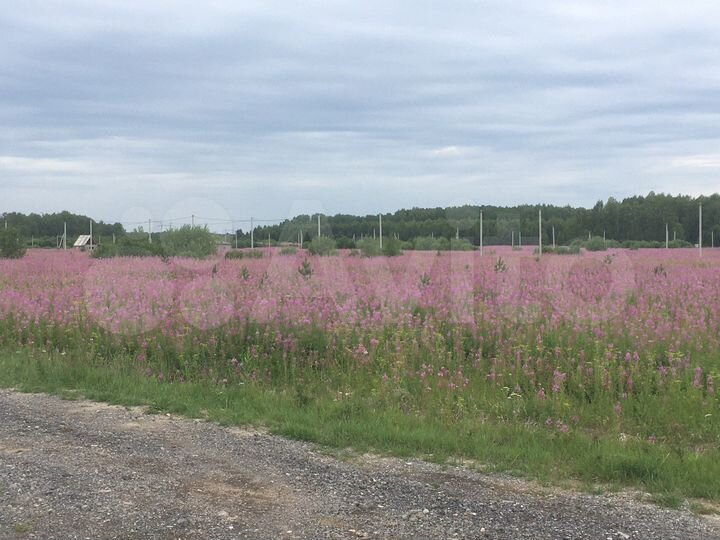 Участок 10 сот. (ИЖС)