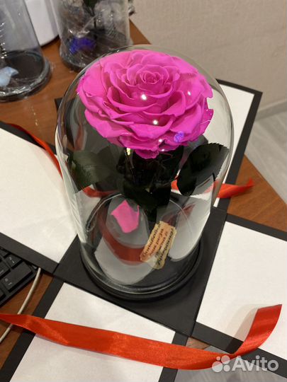 Роза в колбе