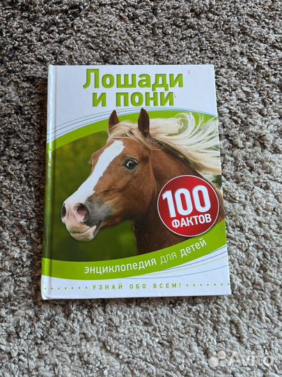 Книга
