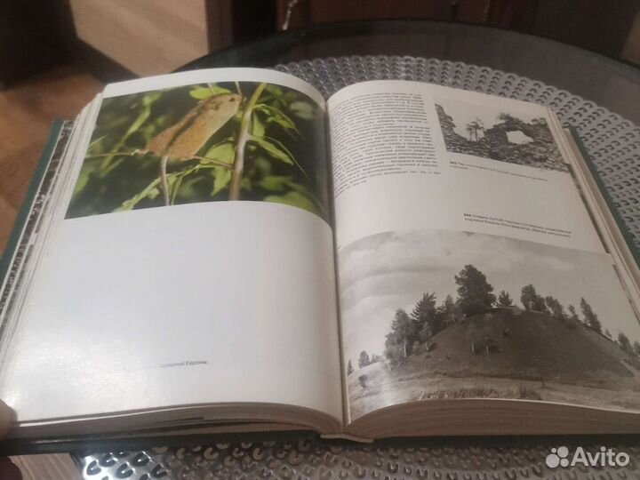 Иллюстрированная энциклопедия лесов