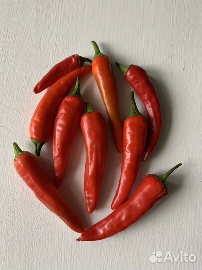 Семена острого перца
