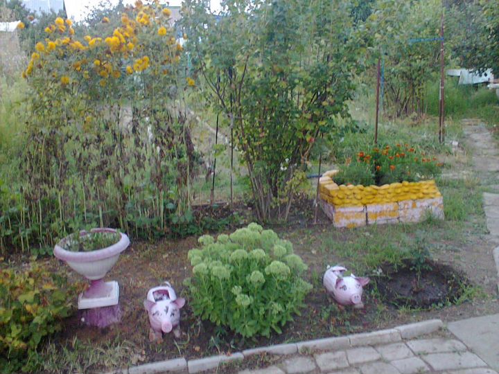 Дача 30 м² на участке 5 сот.