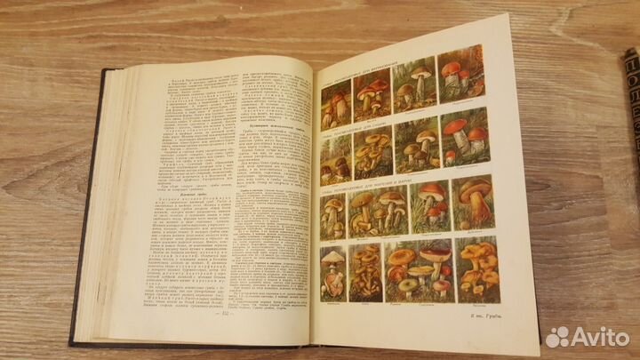 Краткая Энциклопедия домашнего хозяйства 1959 год