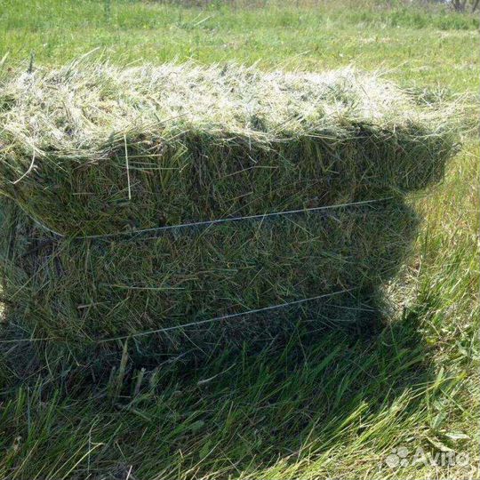 Сено луговое в тюках