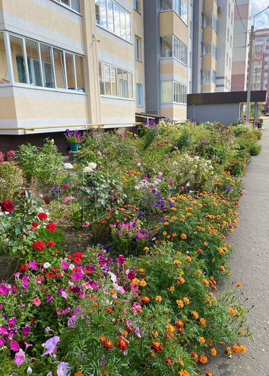 2-к. квартира, 51,2 м², 7/10 эт.