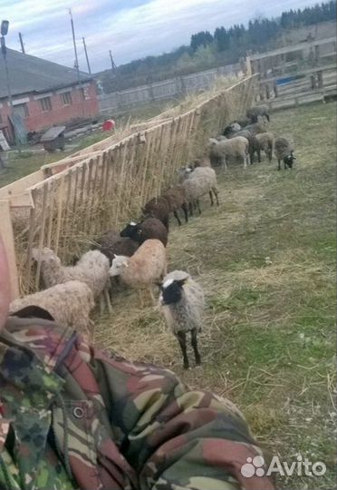 Фермерское хозяйство
